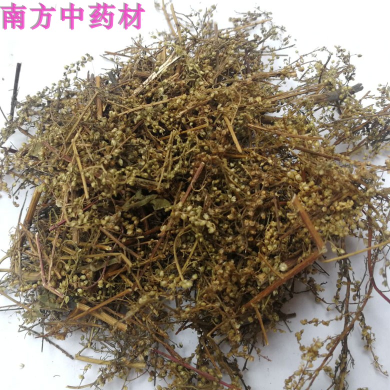 青蒿中草药野生黄花蒿黄蒿正品臭蒿子香蒿臭蒿新鲜干品 500克包邮