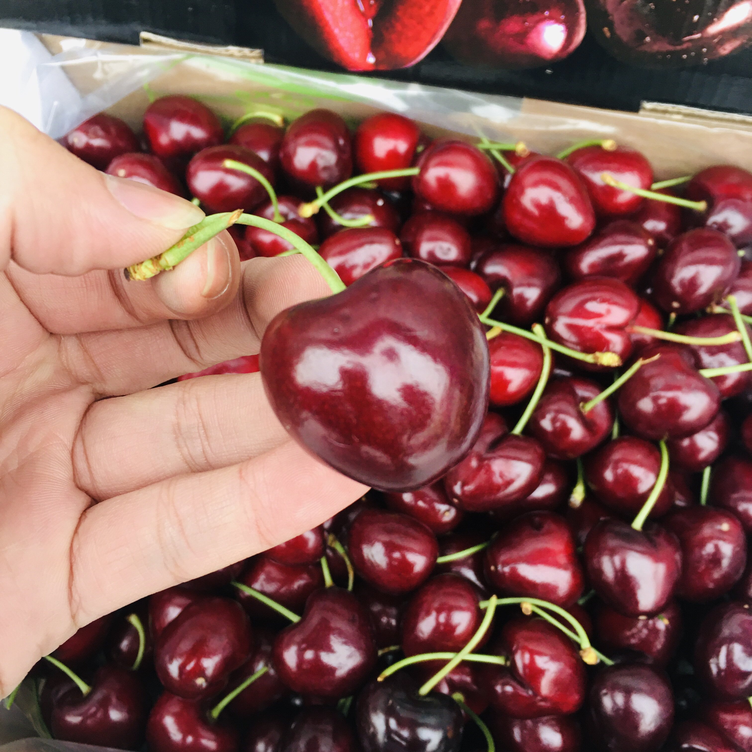 智利礼盒顺丰送礼水果新鲜当季3j5斤进口车厘子