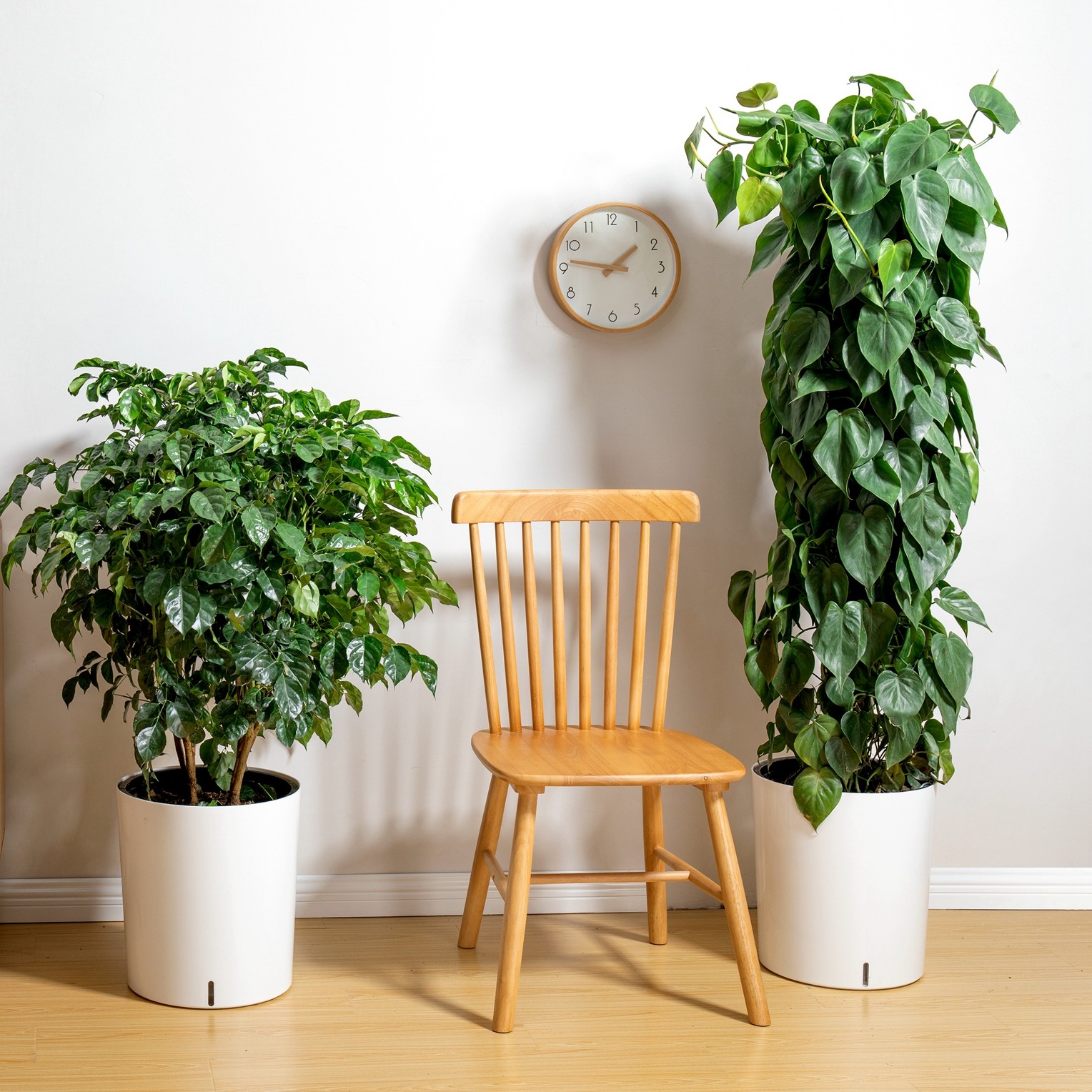 花盆白色自动吸水北欧欧风大号懒人种植塑料花盆