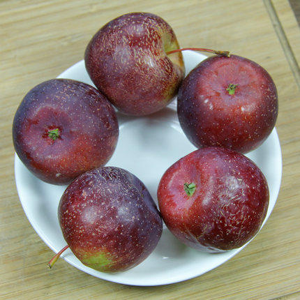 东北大秋新鲜水果脆沙龙丰果丰果特产小苹果酸甜苹果