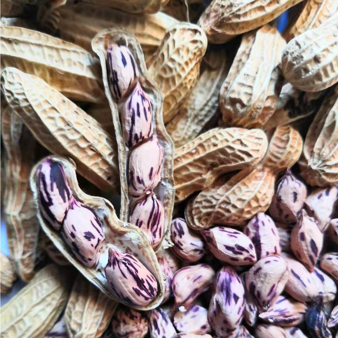 花生云南富硒高原七彩七彩花彩色彩色花礼盒盒装花生