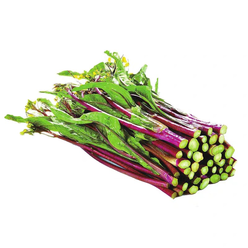 新鲜红菜苔农家自种菜心武汉洪山紫菜苔菜薹现摘青菜