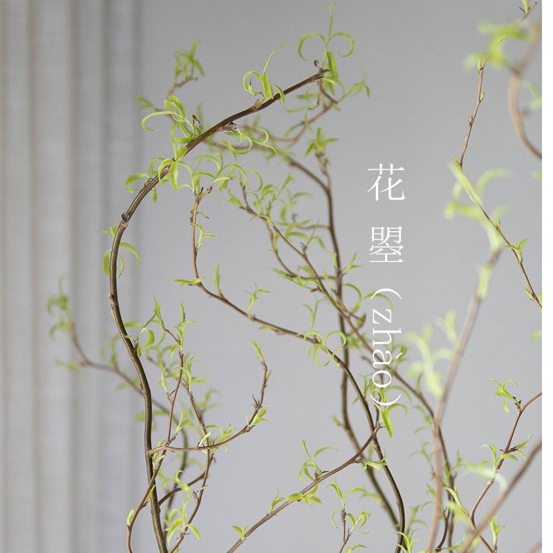 龙柳鲜水养鲜花插花龙柳水枝条家用切枝鲜花速递同城