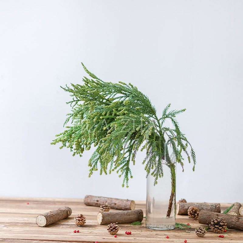 松树树枝圣诞柏树松柏柏松新鲜活鲜活枝条圣诞节鲜花速递(同城)