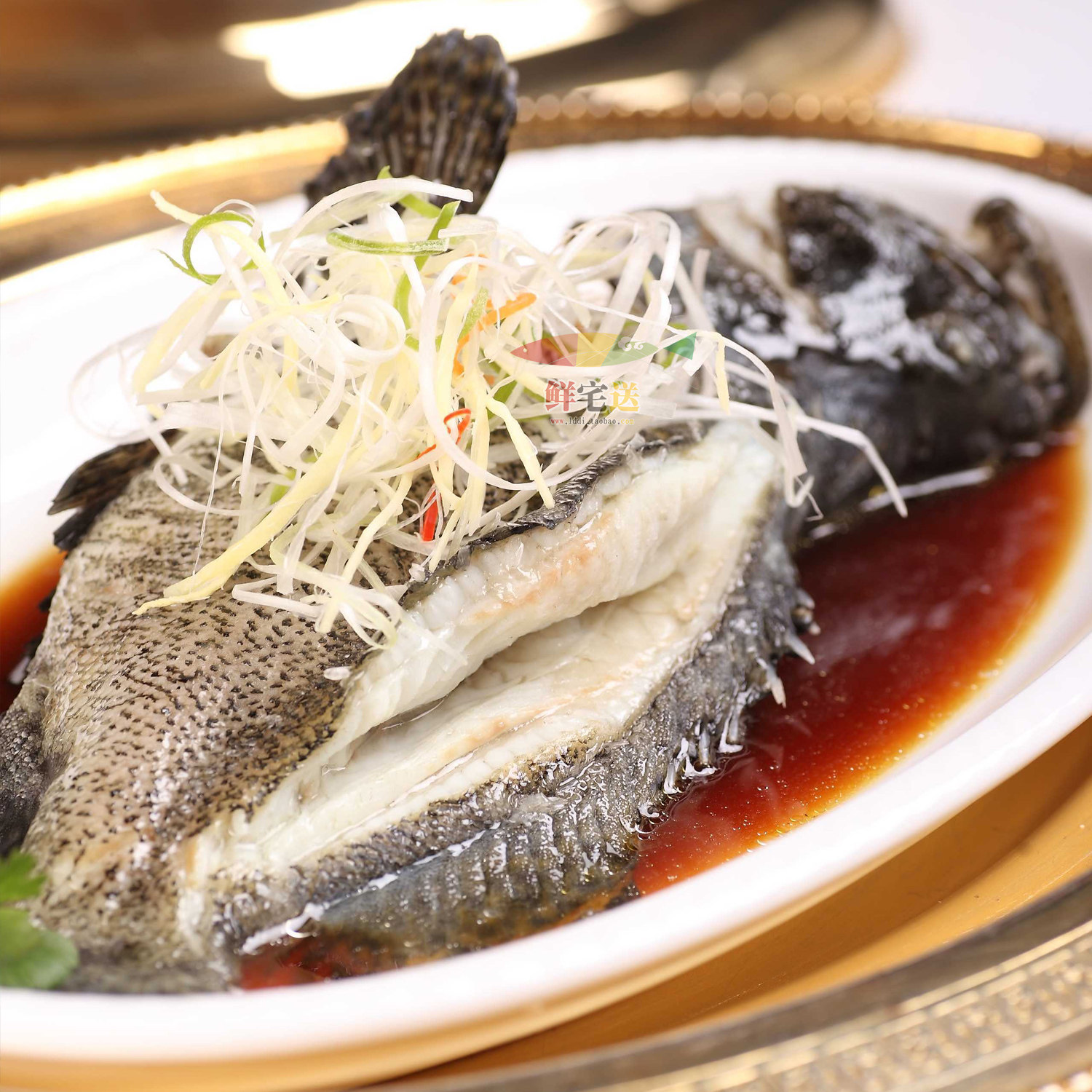 【广州同城鲜活配送】越南进口生猛老虎斑 石斑鱼 约1.5-1.8斤/条