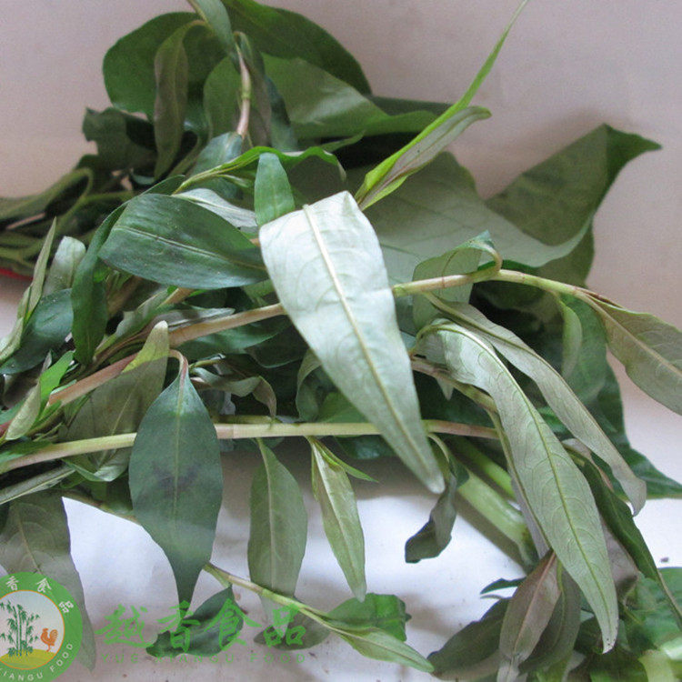 假辣蓼草红辣鱼越南屈头蛋毛蛋备必叻沙叶香料吃生鱼片用需改价