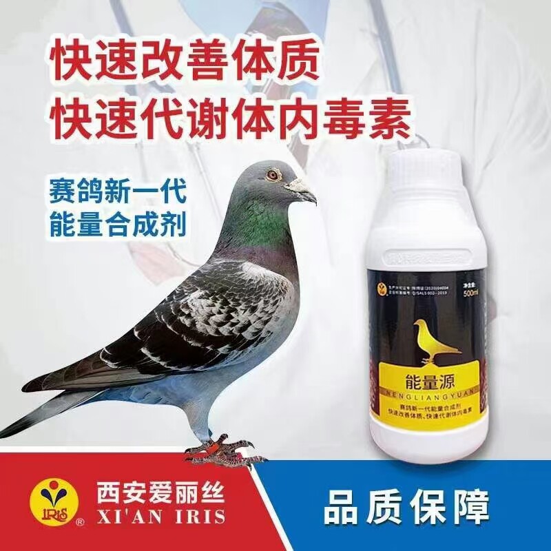 能量爱丽丝鸽药毫升赛鸽提速营养补充信鸽鸽子医疗用品