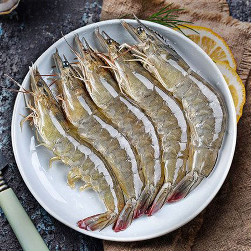 连云港东海海域海大虾对虾基围鲜活超低温速冻发货冻虾