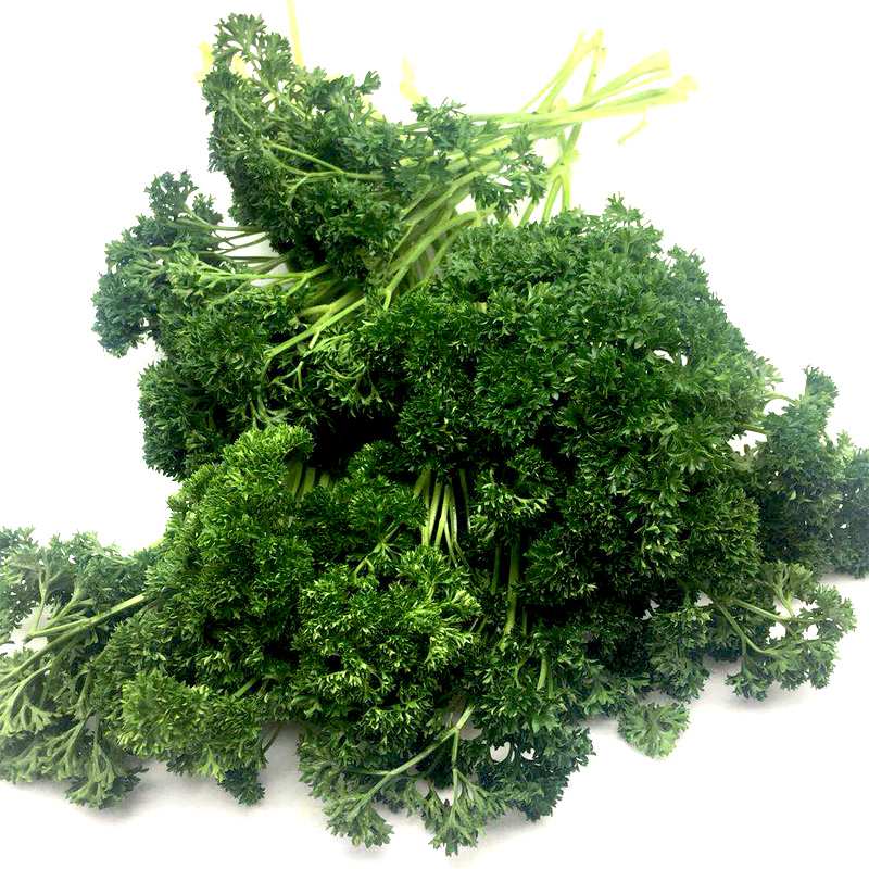 法香 荷兰芹 西餐摆盘 装饰用菜 当日新鲜 250克配送 新鲜香 欧芹