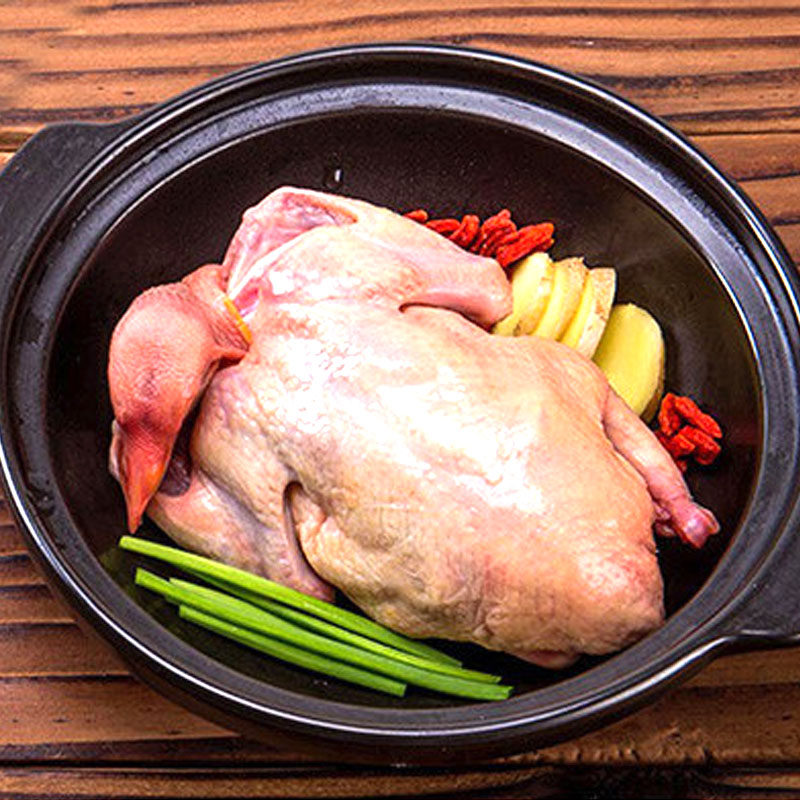 新鲜乳鸽每日现杀乳鸽煲汤油炸新鲜冰鲜鸽子67两只3只川渝包邮