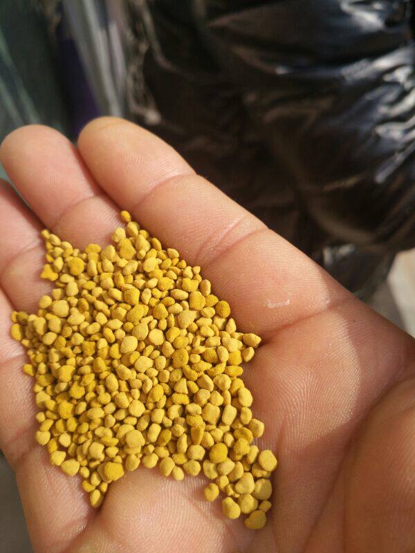 2020新油菜纯粉养蜂喂蜂专用油菜花粉蜜蜂饲料花粉颗粒5斤包邮
