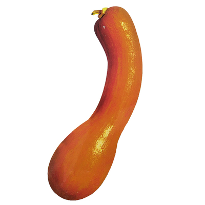 黄狼金黄皮南瓜春季夏季蔬菜甜面可口大吊高产易种家庭园艺种子功效与