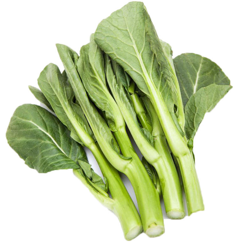 菜心28k油青王尖叶菜苔种子耐热耐湿春季高产家庭园艺种子
