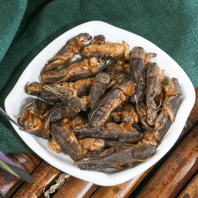 中药材蝼蛄500g另售土狗蝗虫蛐蛐其他药食同源食品