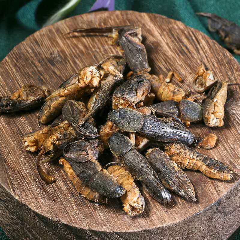 中药材蝼蛄500g另售土狗蝗虫蛐蛐其他药食同源食品