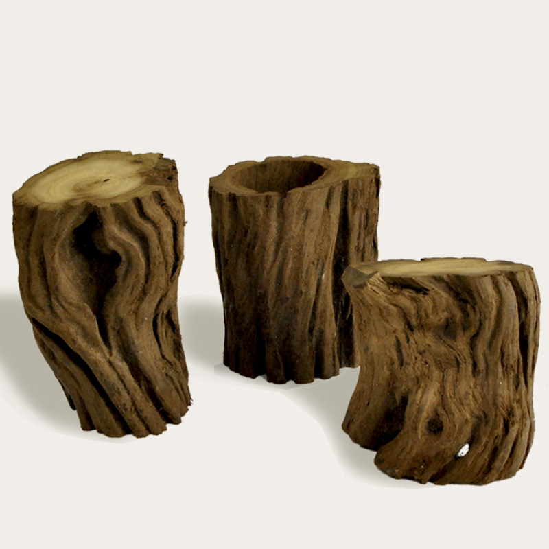 沉木鱼缸造景小树树墩树桩流木按个出售随机造景