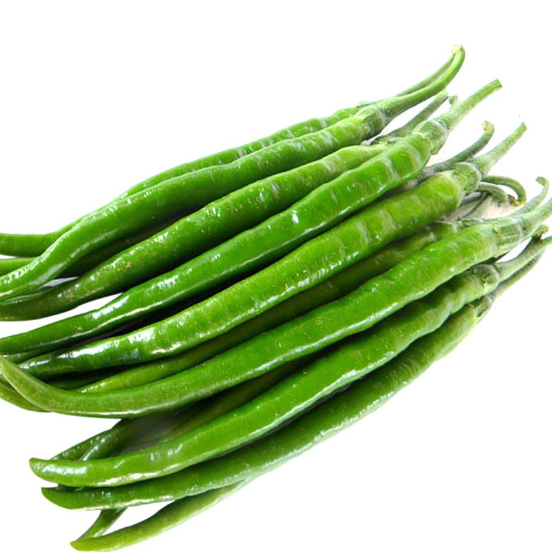 现摘5斤自种新鲜特辣长线椒大青辣椒青线椒尖椒做剁椒二荆条包邮