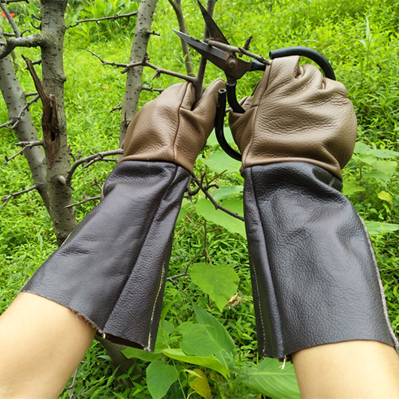 防刺手套摘剥板栗栗子月季玫瑰花园艺摘花花椒防护手套