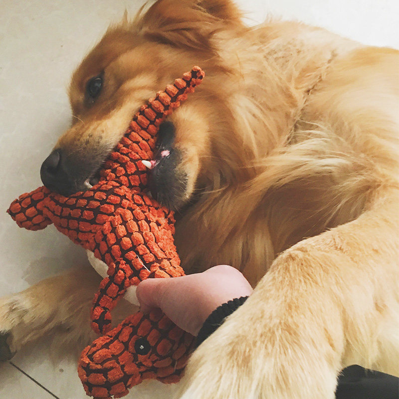 狗狗玩具逗狗大型犬耐咬大狗法斗拉布拉多磨牙发声的套装宠物用品