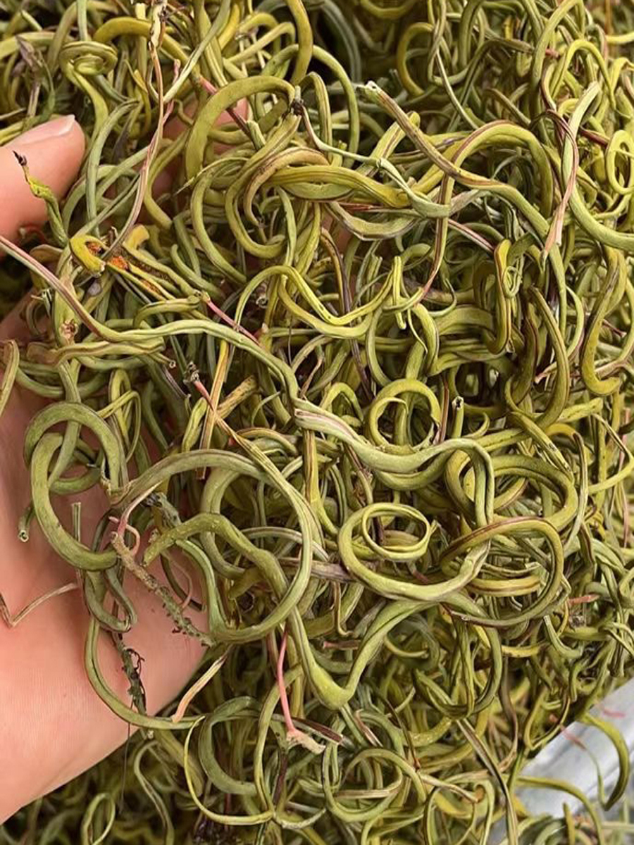 野生正宗云南化石猫须草肾石茶肾精茶中药材新货其他药食同源食品