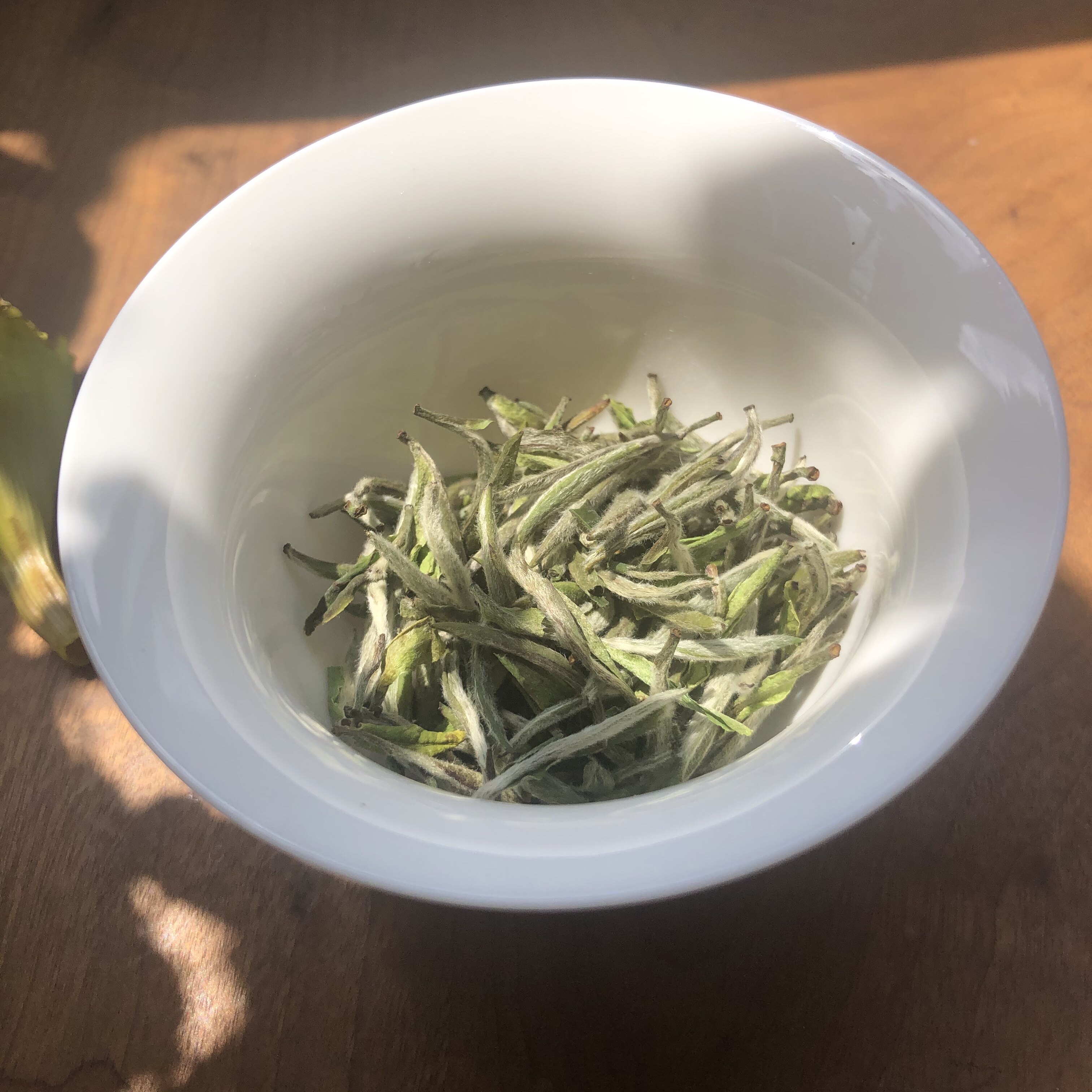 2021新茶高山白毫银针福鼎白茶博逸茶业白毫银针
