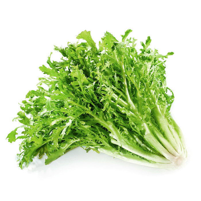 一特特卖新鲜沙拉苦菊苦叶苦苣苦菜生菜500克其它