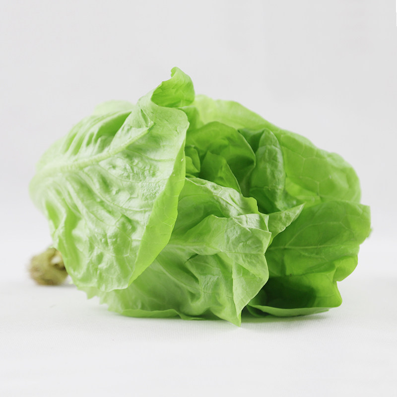 新鲜奶油生菜500g波士顿沙拉蔬菜配菜其它