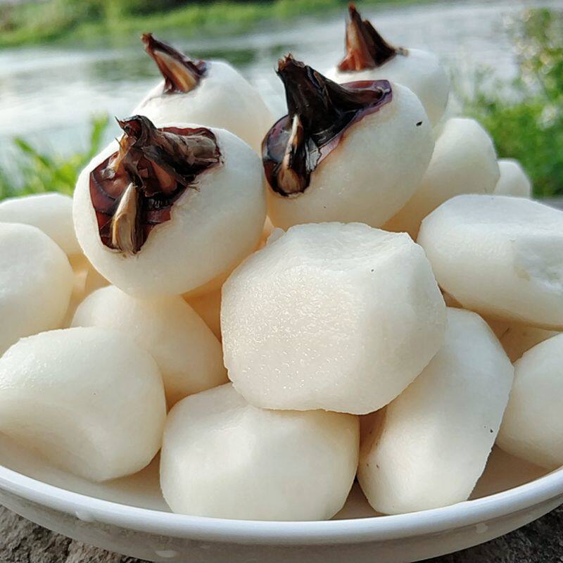 5.5斤中大正宗广西荔浦马蹄荸荠无渣脆甜新鲜荸荠