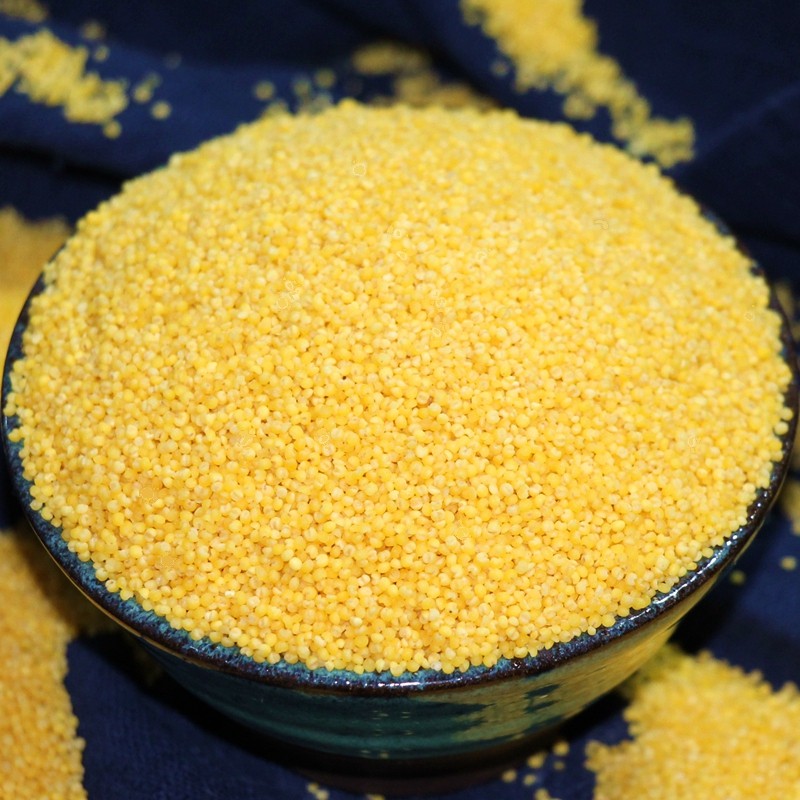 2018新米小黄米食用小米粮食吃的小米粥五谷杂粮月子小米散装250g