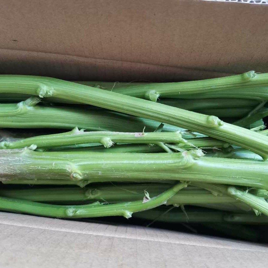 苋菜茎带刺刺新鲜菜梗臭菜农产农产品品红臭豆腐其它