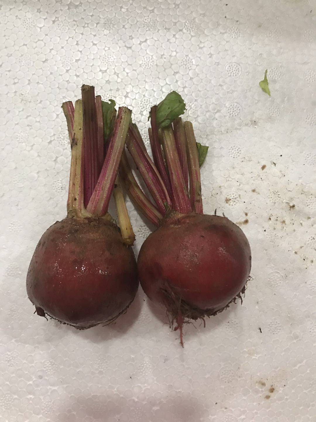 图文详情江浙沪摆盘西餐500g纹菜头螺旋萝卜新鲜菜头