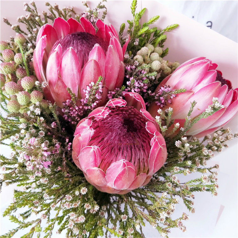 花束天津鲜花同城速递南非进口公主公主花可做鲜花速递同城