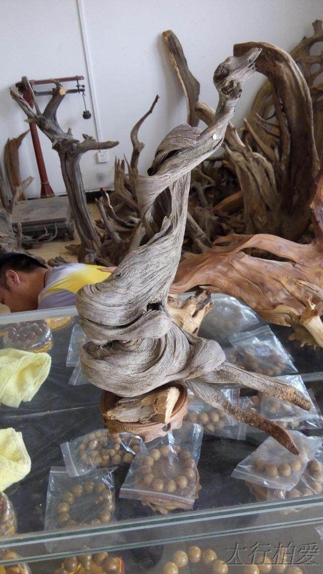 太行崖柏陈化白粉毛料疙瘩根雕红油沉水造型根雕