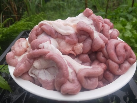 贵州锦屏生粉肠本地猪粉肠 猪小肠 猪顺肠 新鲜肾肠生猪现杀肾肠