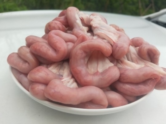 贵州锦屏生粉肠本地猪粉肠 猪小肠 猪顺肠 新鲜肾肠生猪现杀肾肠