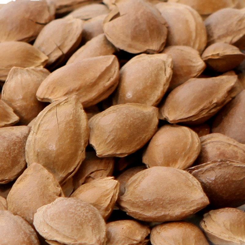 朱记炒货手剥小银杏核新疆特产开口白杏果仁小银杏