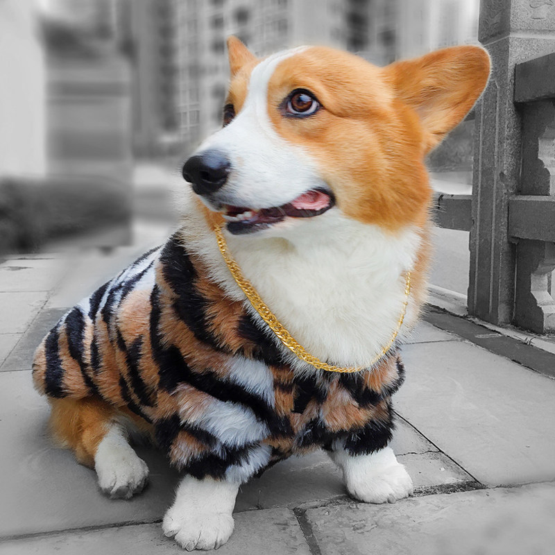 战神小柯萌宠皮草独家原创虎皮大衣宠物服装