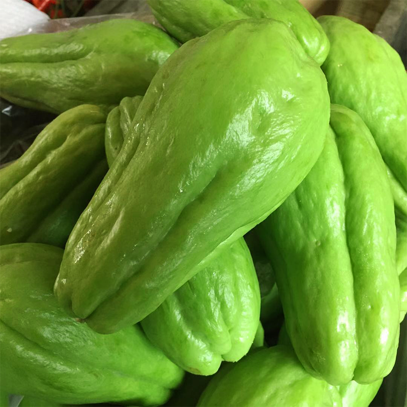 新鲜佛手5斤包邮农家自种菜瓜捧瓜丰收窝瓜佛手瓜