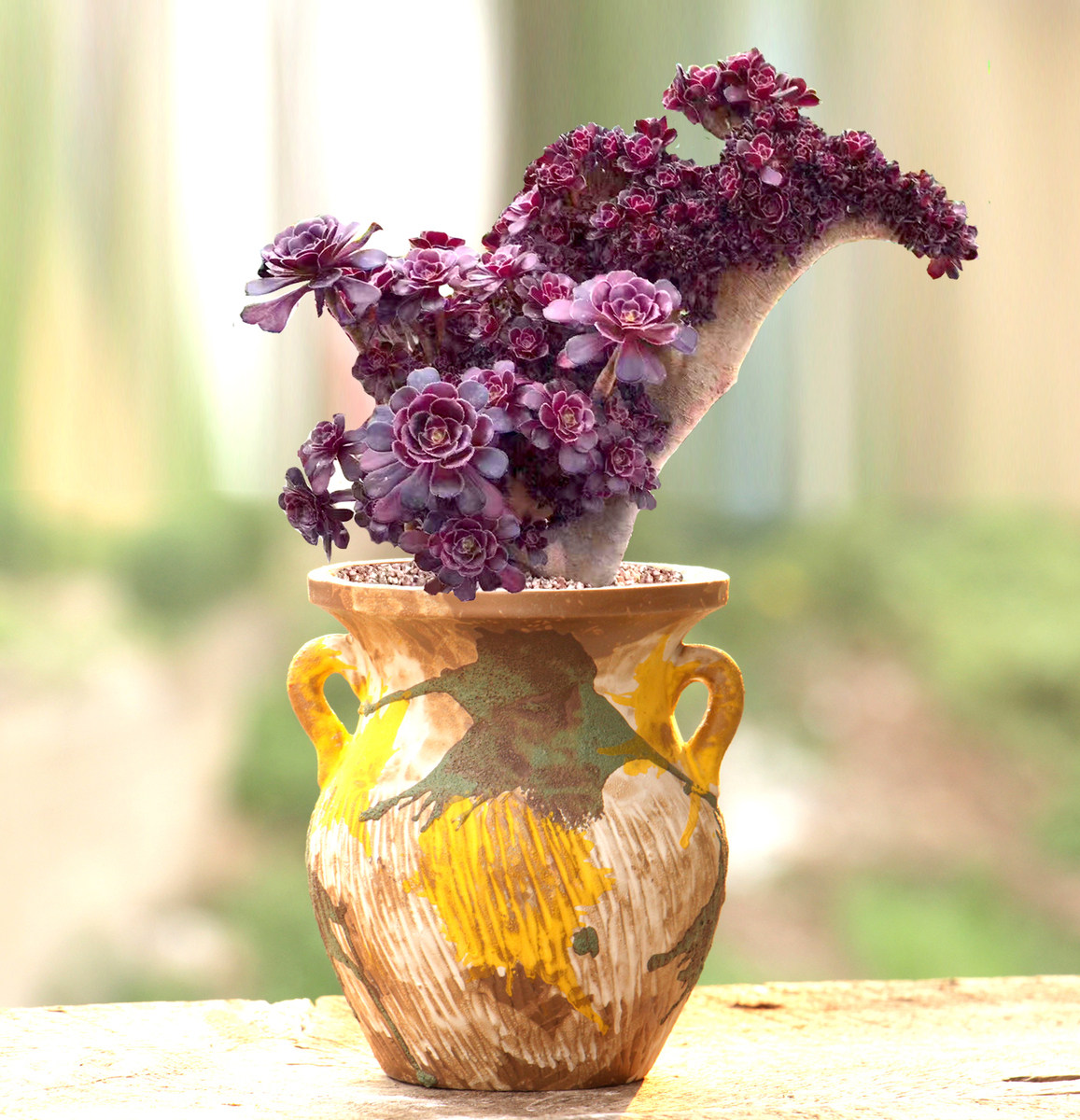 陶瓷粗陶花盆大号复古多肉植物花盆老桩盆透气法师盆