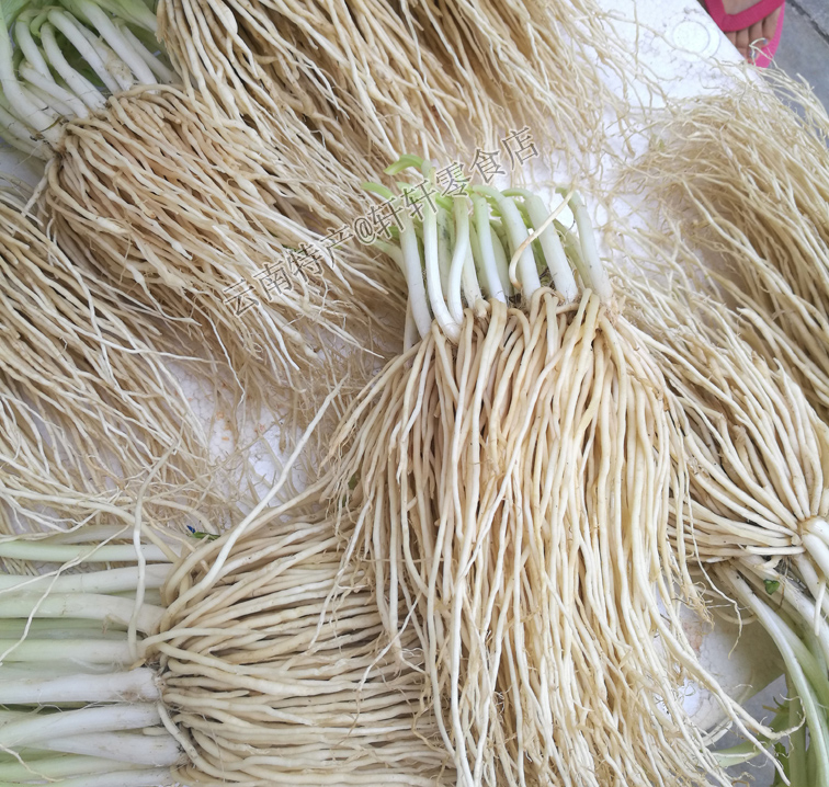 云南新鲜撇菜根 苤菜根大韭菜根月子良菜可腌制500克疏菜凉拌炖汤