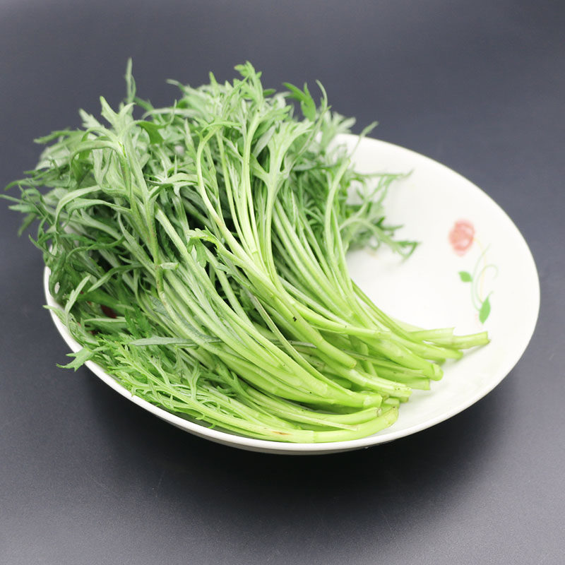 长白长白山山野菜柳蒿新鲜水蒿酱菜500克满2份包邮其它