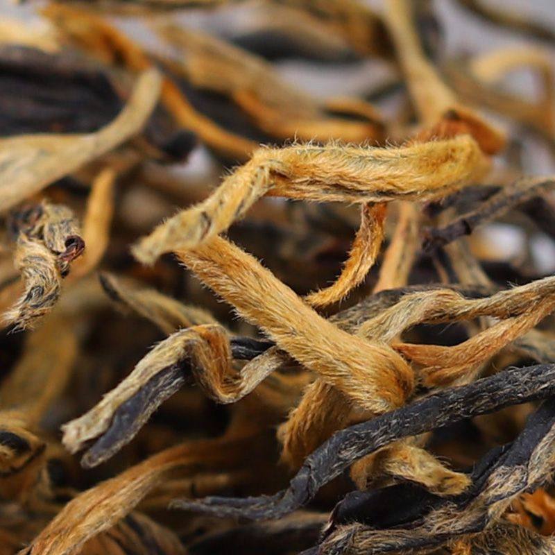 2022年云南滇红老树特级红毛古树红茶金芽蜜香型滇红