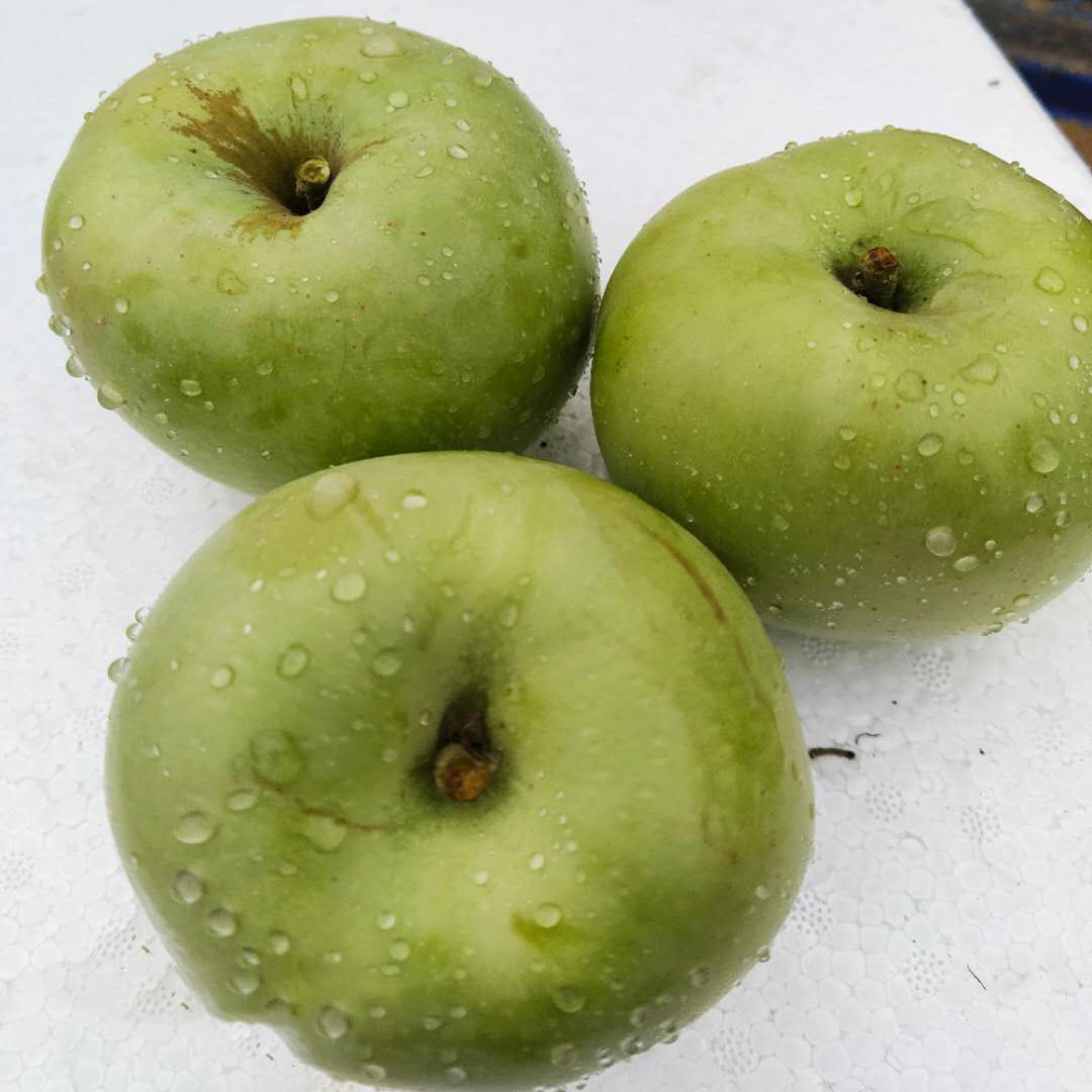 烟台印冬印度青老品种冰糖心甜苹果新鲜水果农家纯甜10斤顺丰包邮