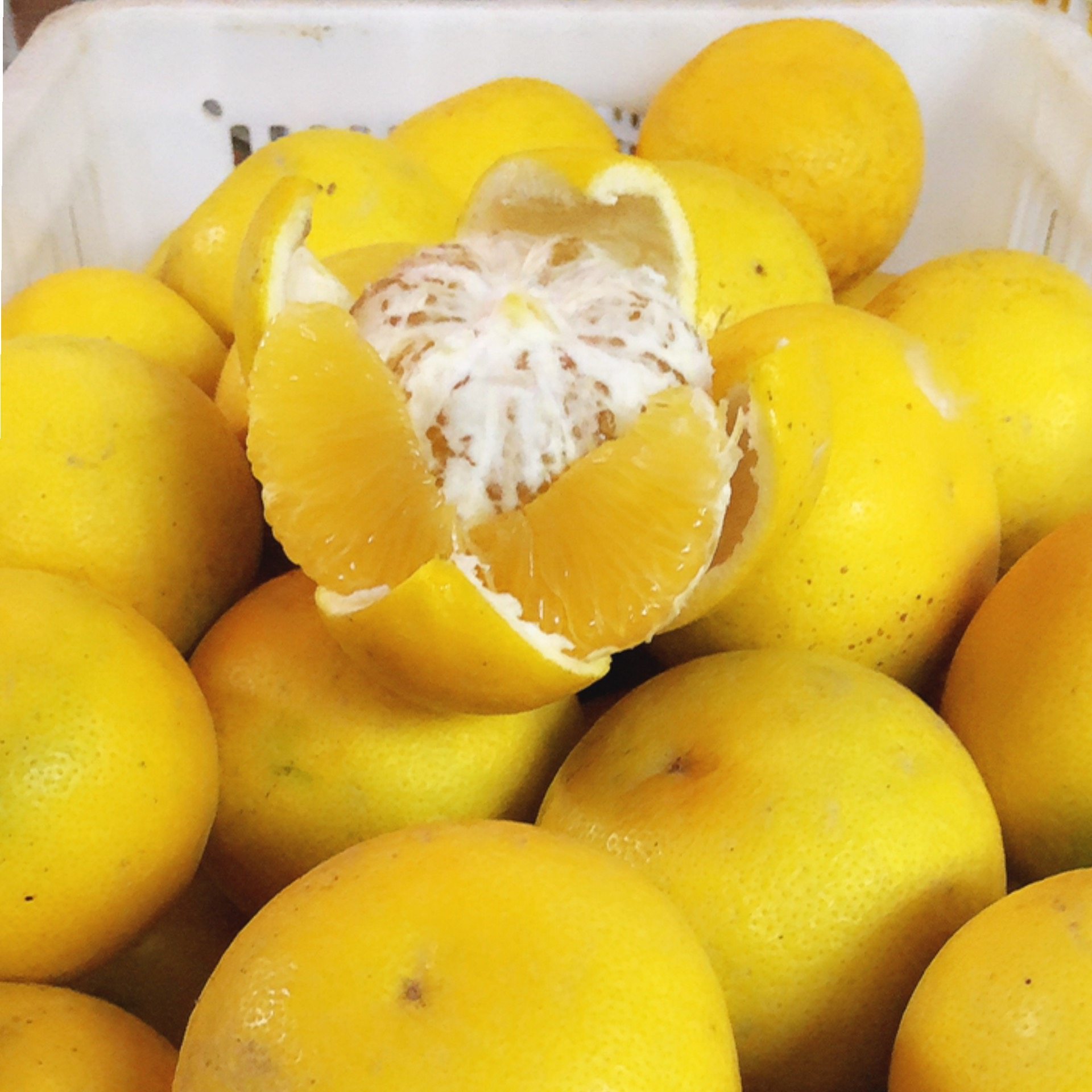 新鲜包邮直销产地10斤水果胡柚五十常山正宗柚子