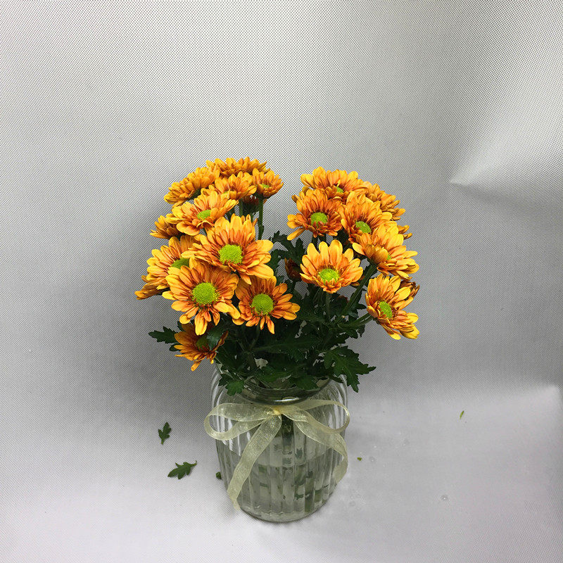 多头雏菊鲜切小清新上海同城速递家用瓶插花艺鲜花速递同城