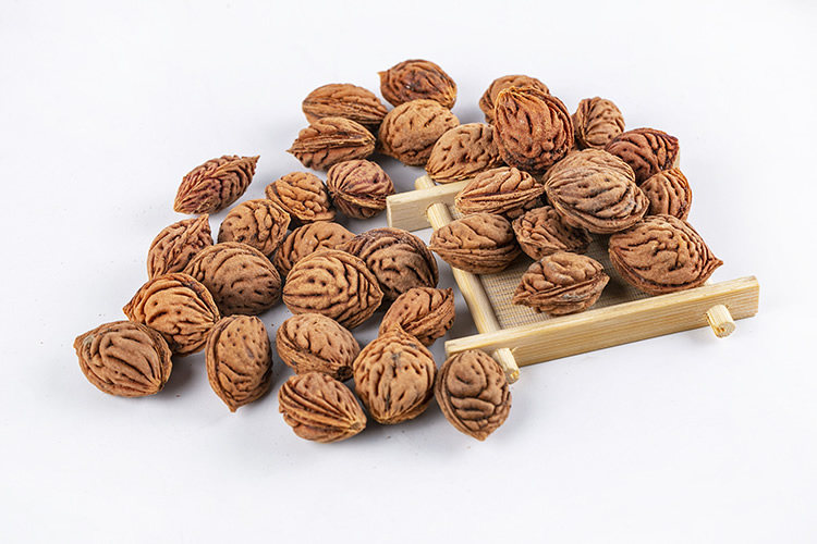 桃核新采毛原籽野生生毛嫁接桃树雕刻用桃育苗佛珠