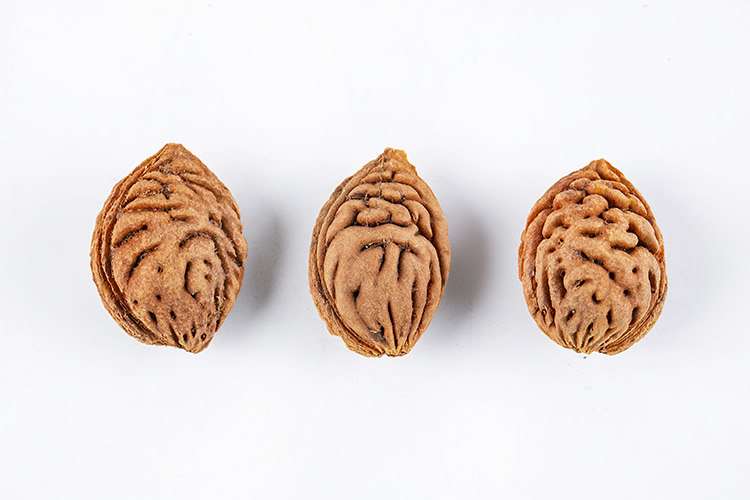 桃核新采毛原籽野生生毛嫁接桃树雕刻用桃育苗佛珠