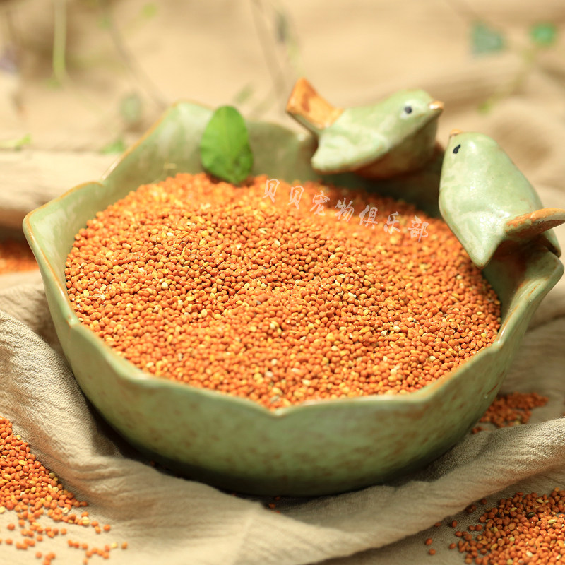 5斤包邮优质带壳红谷子250g亮毛色饱满鸟食鸟粮饲料虎皮鹦鹉珍珠