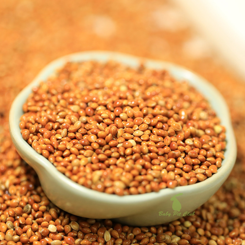 红黍红粟小米鸽子仓鼠零食鸟食鸟粮饲料枕头鸟食