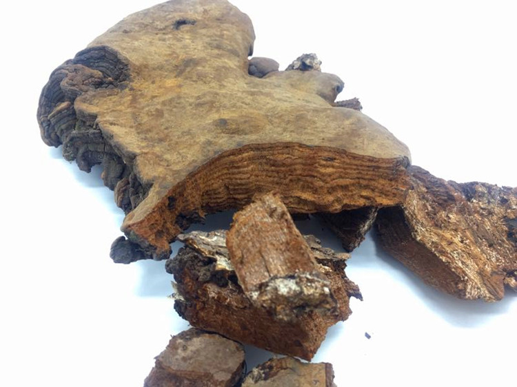 黑龙江野生斑褐孔菌 斑褐灵芝 层卧孔菌 长白山野生真菌250克包邮